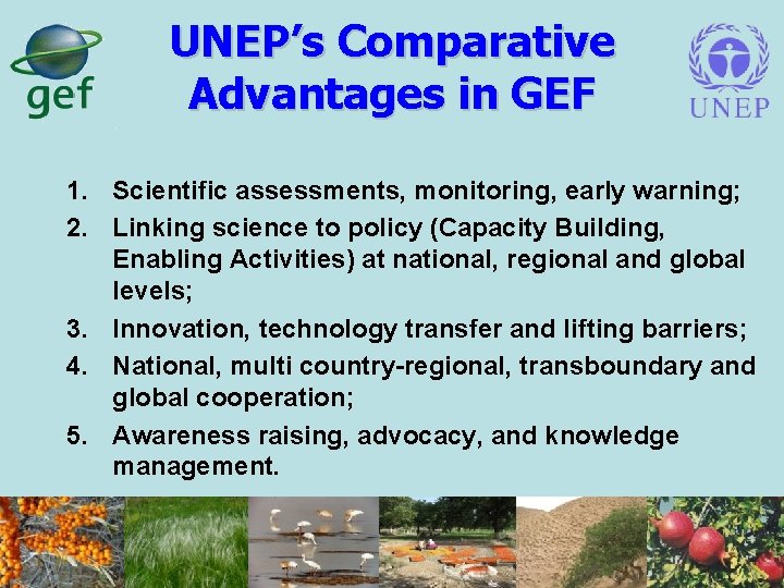 UNEP’s Comparative Advantages in GEF 1. Scientific assessments, monitoring, early warning; 2. Linking science