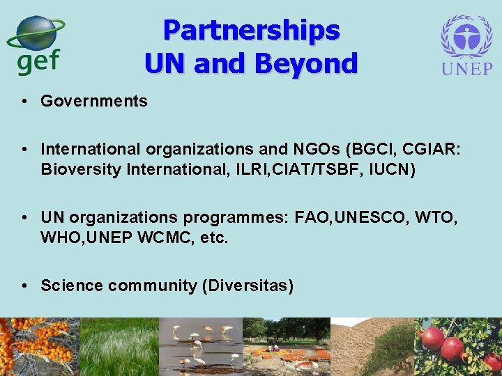 Partnerships UN and Beyond • Governments • International organizations and NGOs (BGCI, CGIAR: Bioversity