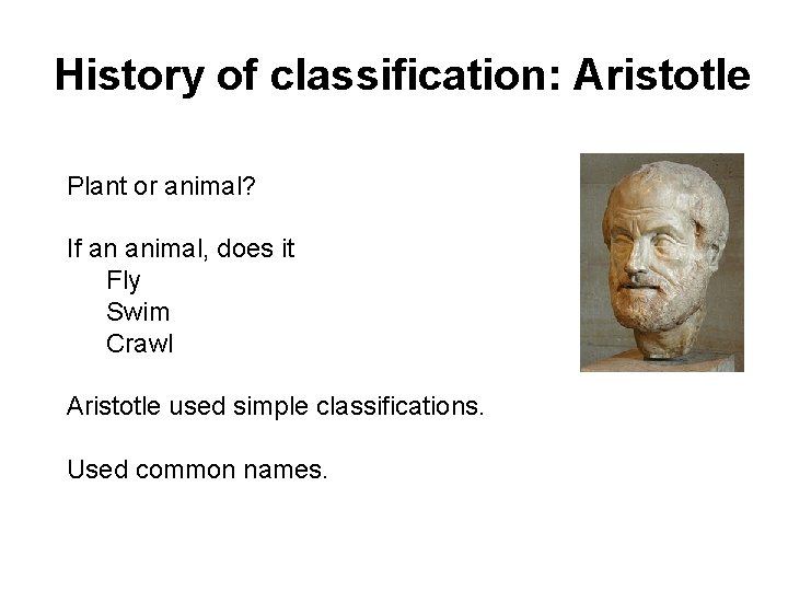 History of classification: Aristotle Plant or animal? If an animal, does it Fly Swim