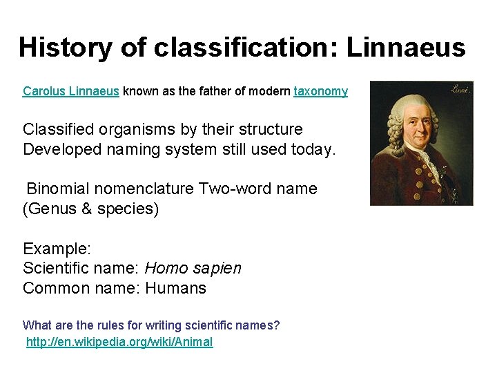 History of classification: Linnaeus Carolus Linnaeus known as the father of modern taxonomy Classified
