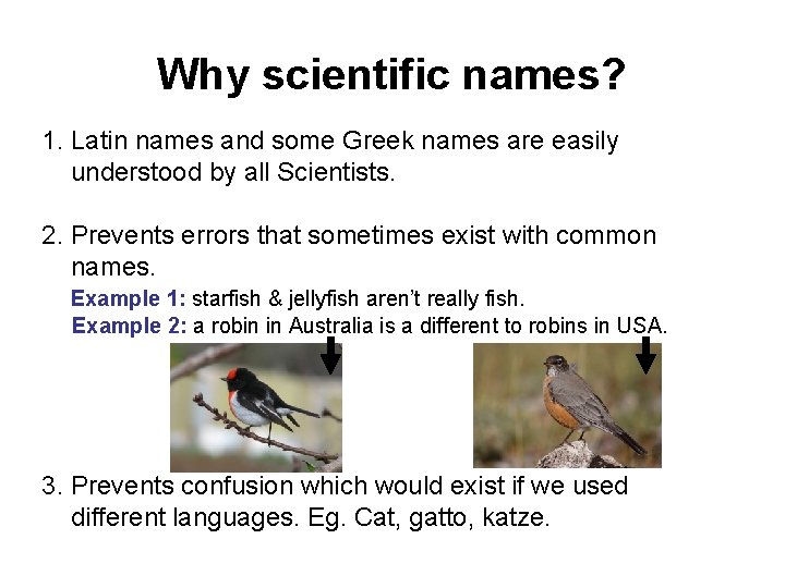 Why scientific names? 1. Latin names and some Greek names are easily understood by