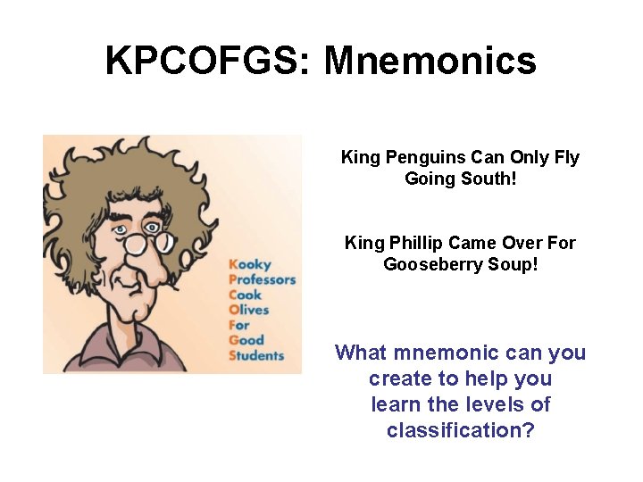 KPCOFGS: Mnemonics King Penguins Can Only Fly Going South! King Phillip Came Over For