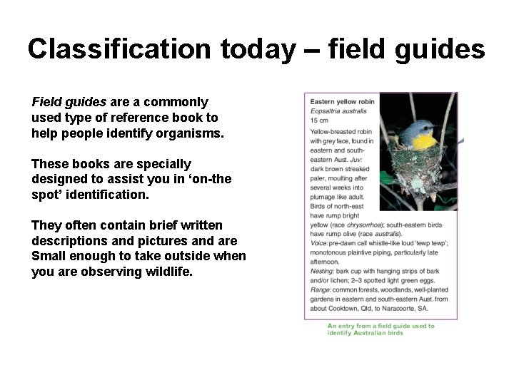 Classification today – field guides Field guides are a commonly used type of reference
