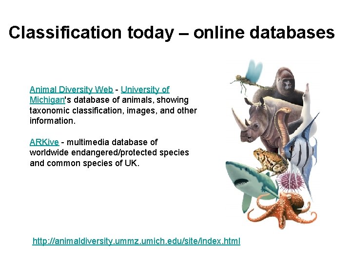 Classification today – online databases Animal Diversity Web University of Michigan's database of animals,