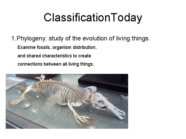 Classification. Today 1. Phylogeny: study of the evolution of living things. Examine fossils, organism