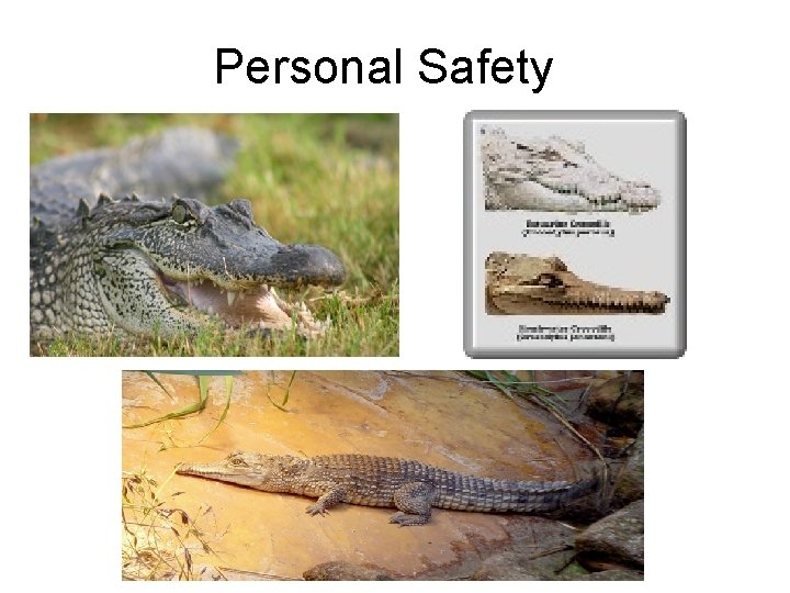 Personal Safety 