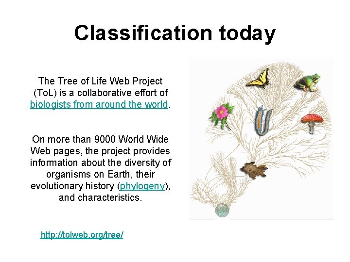 Classification today The Tree of Life Web Project (To. L) is a collaborative effort