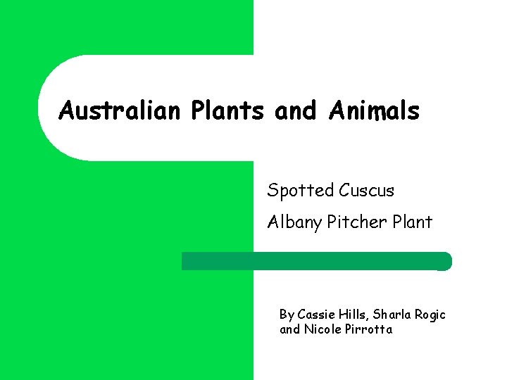 Australian Plants and Animals Spotted Cuscus Albany Pitcher Plant By Cassie Hills, Sharla Rogic