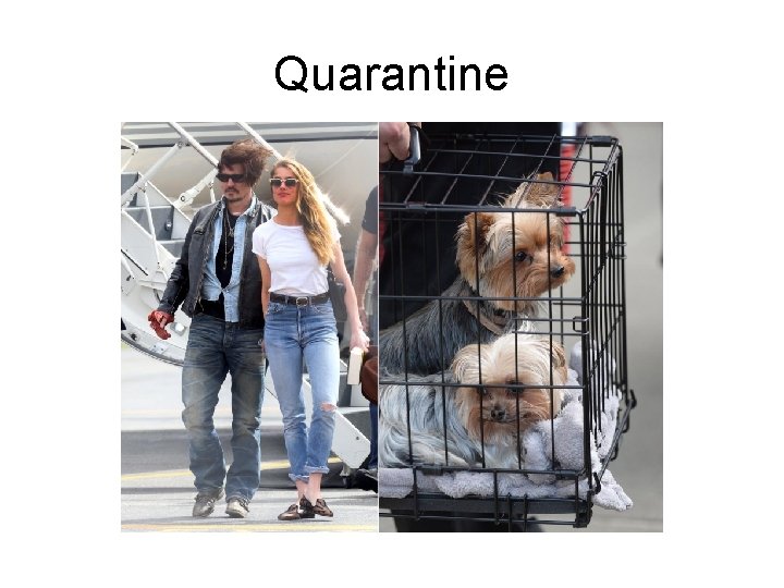 Quarantine 