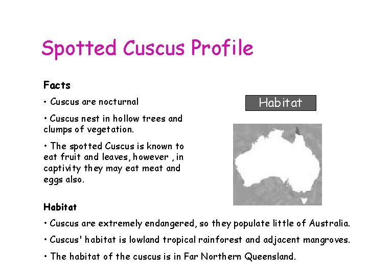 Spotted Cuscus Profile Facts • Cuscus are nocturnal Habitat • Cuscus nest in hollow