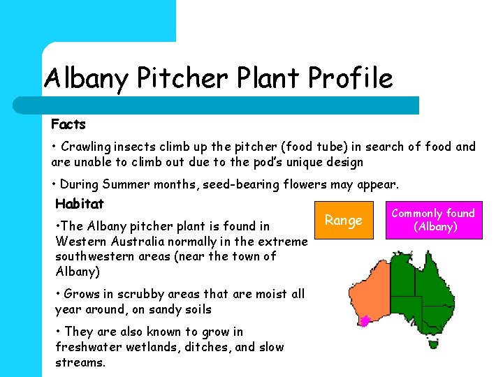 Albany Pitcher Plant Profile Facts • Crawling insects climb up the pitcher (food tube)