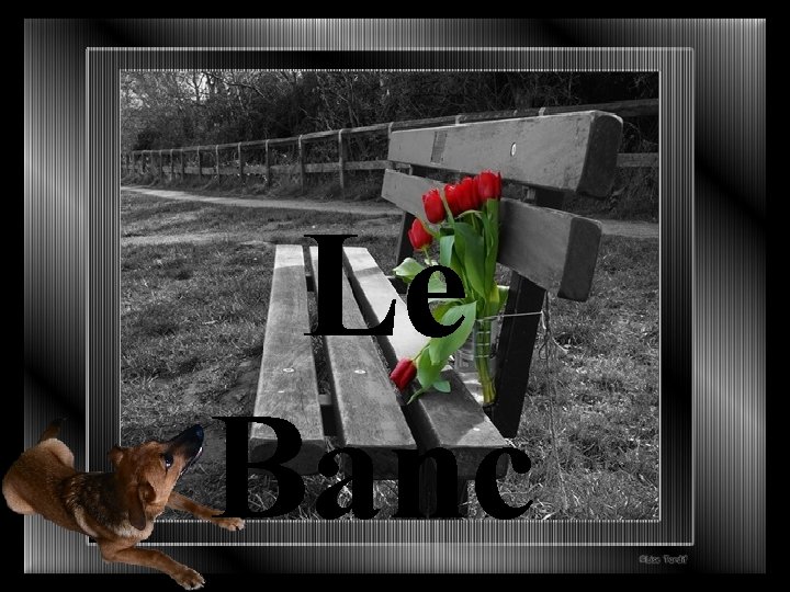 Le Banc 