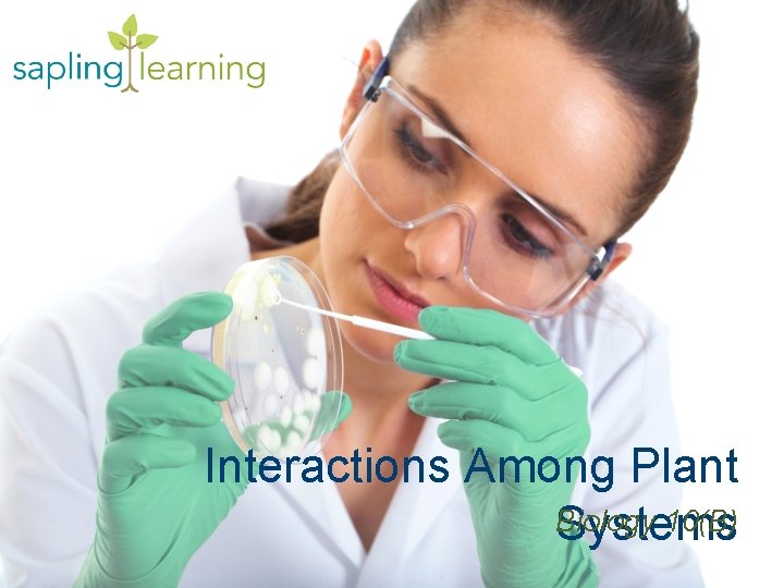 Interactions Among Plant Biology 10(B) Systems 