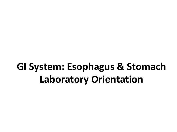 GI System: Esophagus & Stomach Laboratory Orientation 