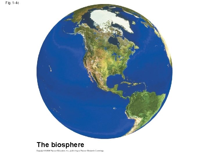 Fig. 1 -4 c The biosphere 