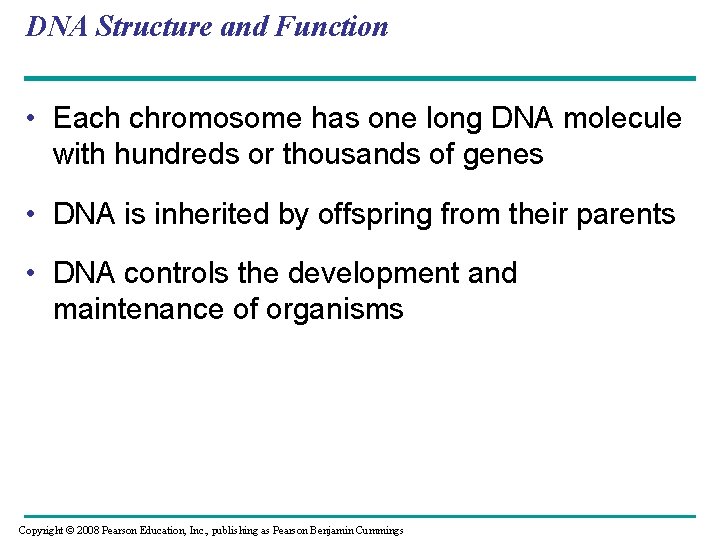 DNA Structure and Function • Each chromosome has one long DNA molecule with hundreds