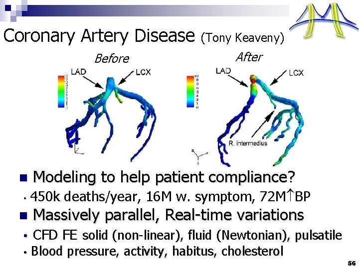 Coronary Artery Disease Before n (Tony Keaveny) After Modeling to help patient compliance? •