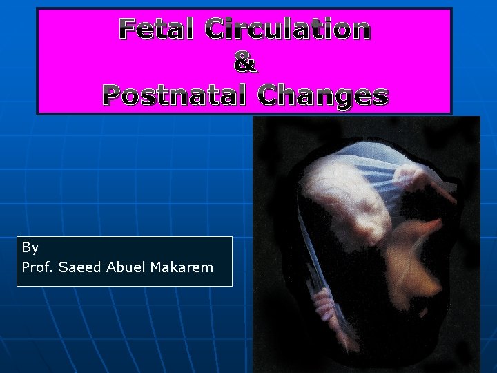 Fetal Circulation & Postnatal Changes By Prof. Saeed Abuel Makarem 