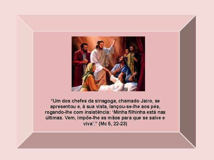 “Um dos chefes da sinagoga, chamado Jairo, se apresentou e, à sua vista, lançou-se-lhe