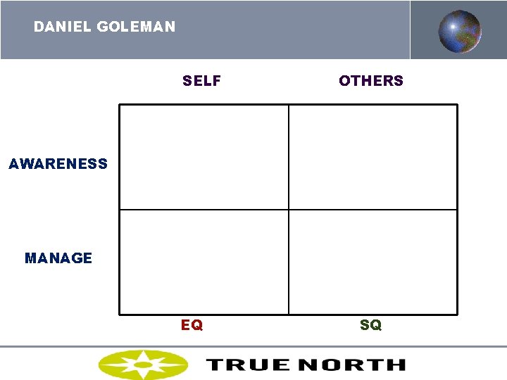 DANIEL GOLEMAN SELF OTHERS AWARENESS MANAGE EQ SQ MOLTKE-LETH 