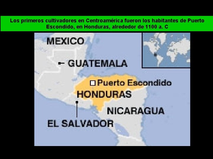 Los primeros cultivadores en Centroamérica fueron los habitantes de Puerto Escondido, en Honduras, alrededor