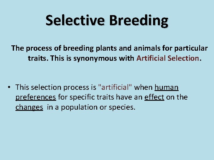 Selective Breeding Selective Breeding or Artificial Selection Selective Breeding The