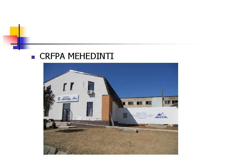 n CRFPA MEHEDINTI n CRFPA MEHEDINTI