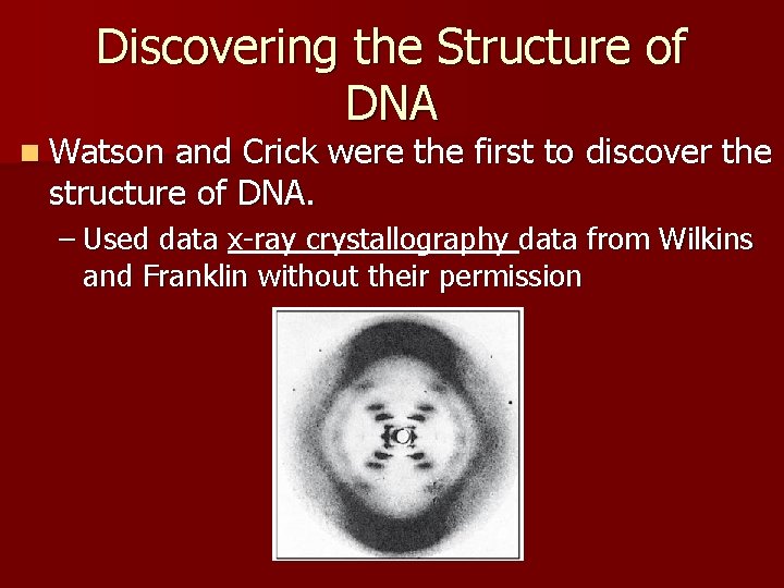 Discovering the Structure of DNA n Watson and Crick were the first to discover