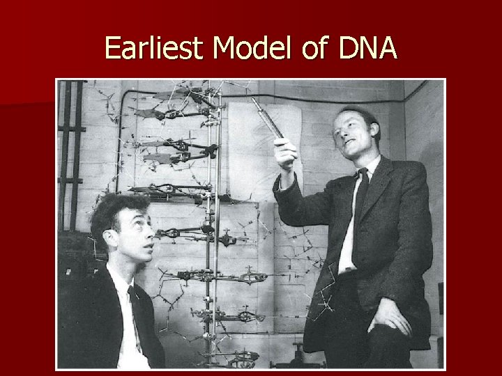 Earliest Model of DNA 
