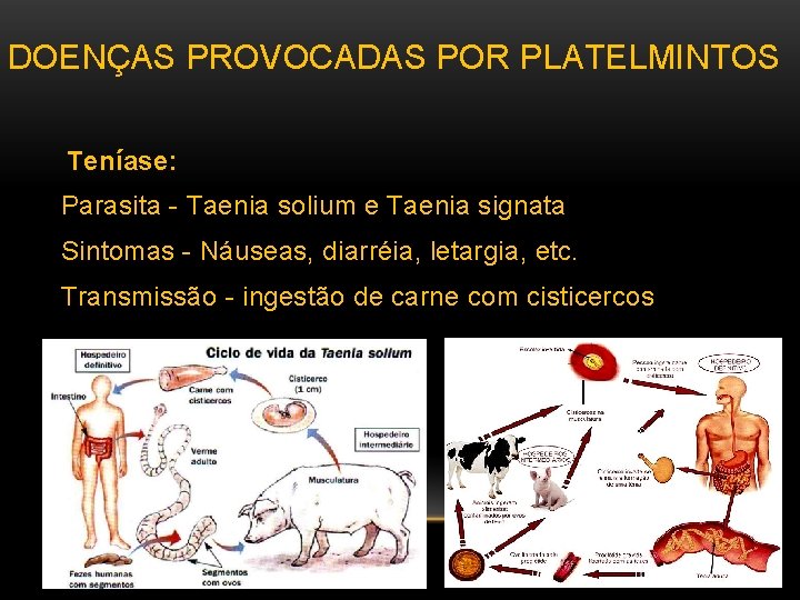 DOENÇAS PROVOCADAS POR PLATELMINTOS Teníase: Parasita - Taenia solium e Taenia signata Sintomas -