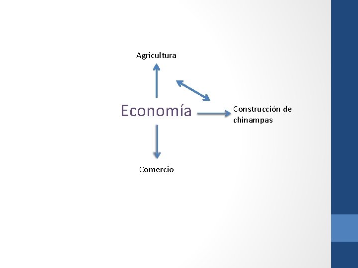 Agricultura Economía Comercio Construcción de chinampas 