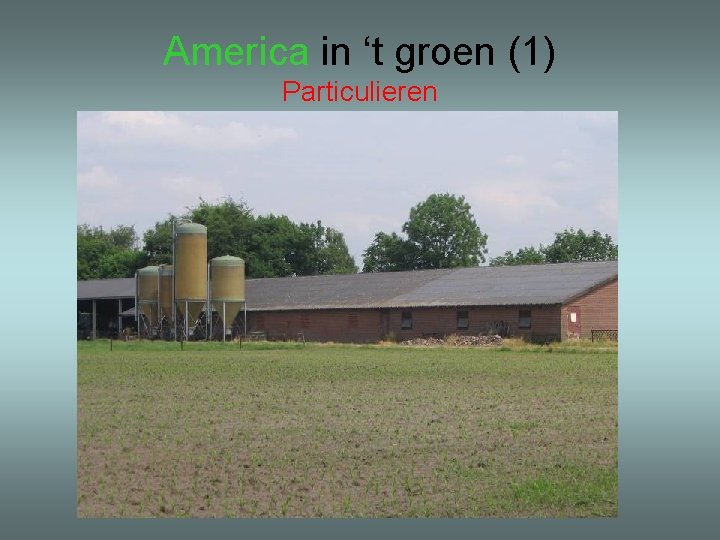 America in ‘t groen (1) Particulieren 