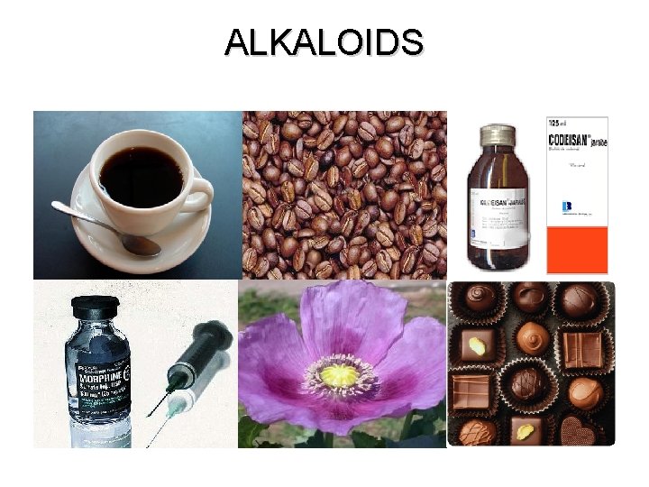 ALKALOIDS 