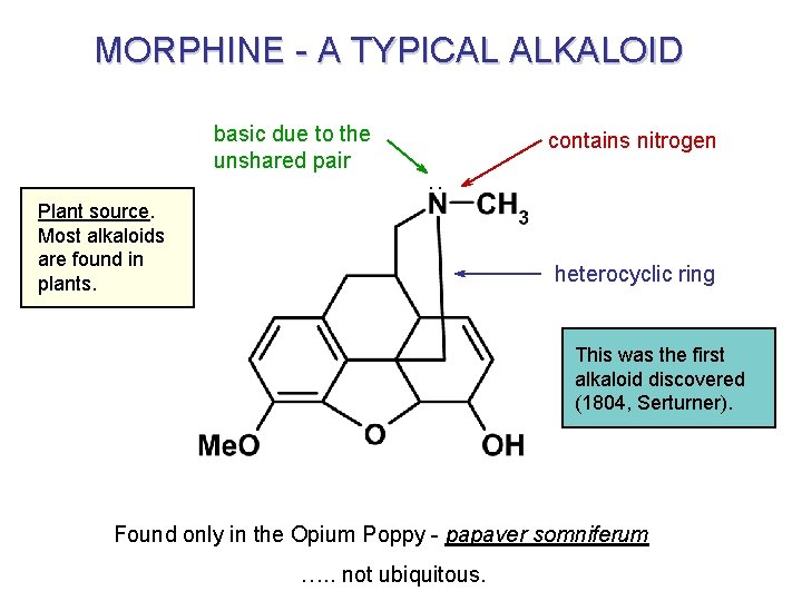 MORPHINE - A TYPICAL ALKALOID basic due to the unshared pair contains nitrogen .