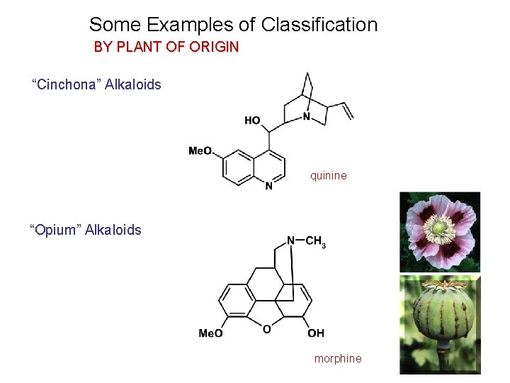 Some Examples of Classification BY PLANT OF ORIGIN “Cinchona” Alkaloids quinine “Opium” Alkaloids morphine