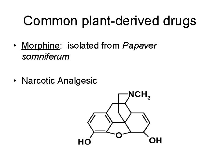 Common plant-derived drugs • Morphine: isolated from Papaver somniferum • Narcotic Analgesic 