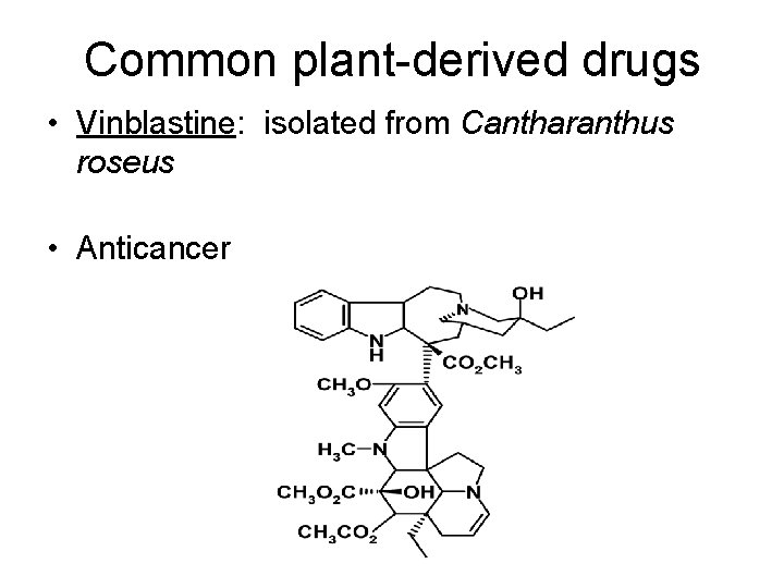 Common plant-derived drugs • Vinblastine: isolated from Cantharanthus roseus • Anticancer 