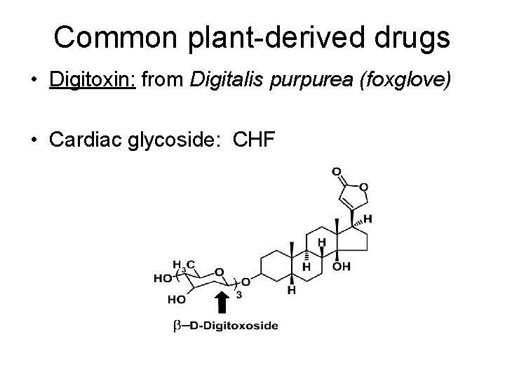 Common plant-derived drugs • Digitoxin: from Digitalis purpurea (foxglove) • Cardiac glycoside: CHF 