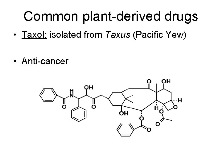 Common plant-derived drugs • Taxol: isolated from Taxus (Pacific Yew) • Anti-cancer 