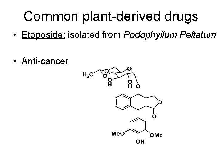 Common plant-derived drugs • Etoposide: isolated from Podophyllum Peltatum • Anti-cancer 