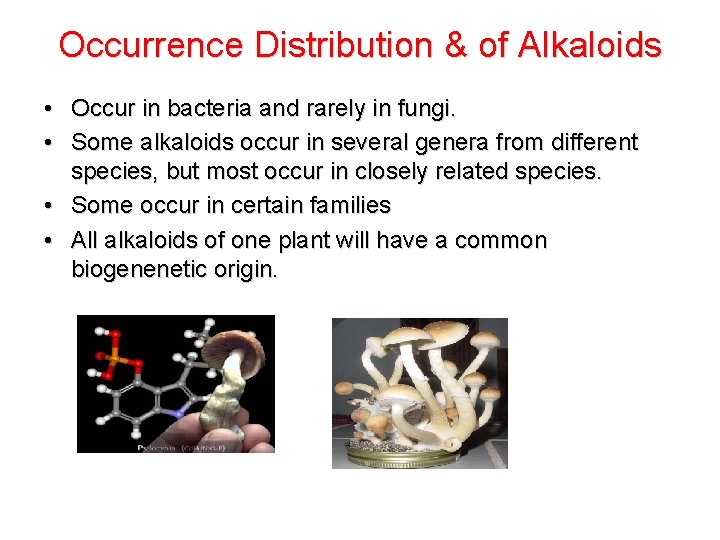 Occurrence Distribution & of Alkaloids • Occur in bacteria and rarely in fungi. •