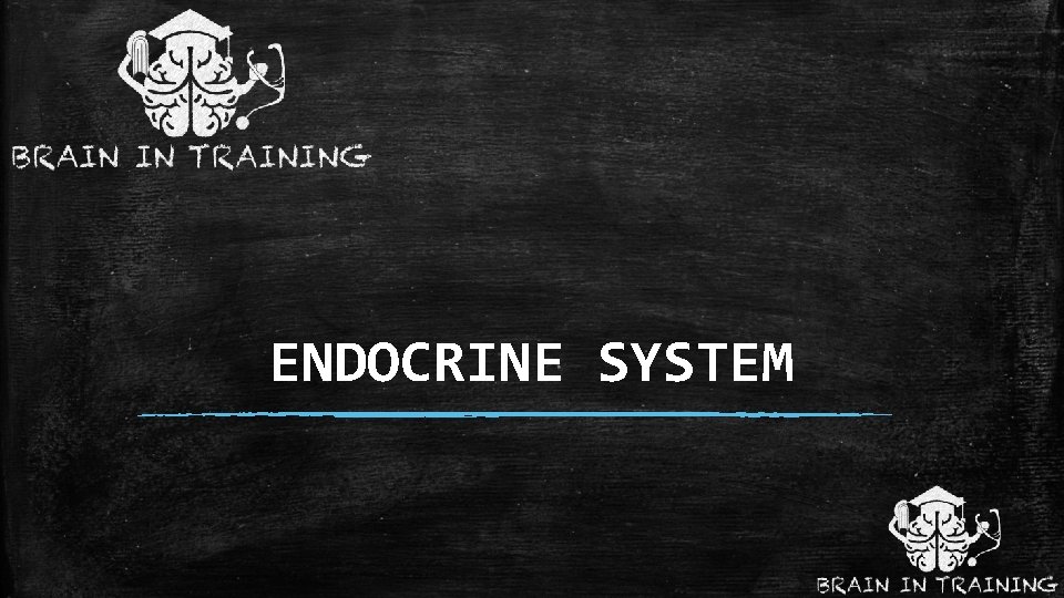 ENDOCRINE SYSTEM 