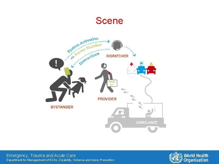 Scene Emergency, Trauma and Acute Care Department for Management of NCDs, Disability, Violence and