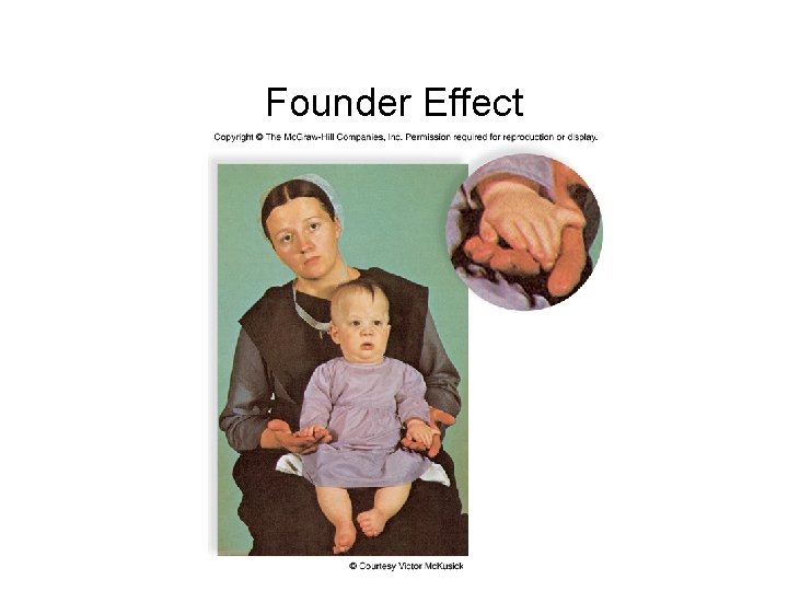Founder Effect 