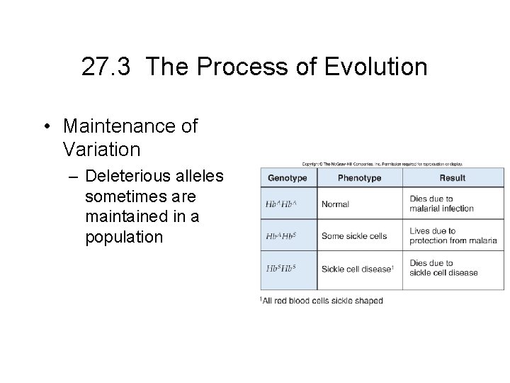 27. 3 The Process of Evolution • Maintenance of Variation – Deleterious alleles sometimes