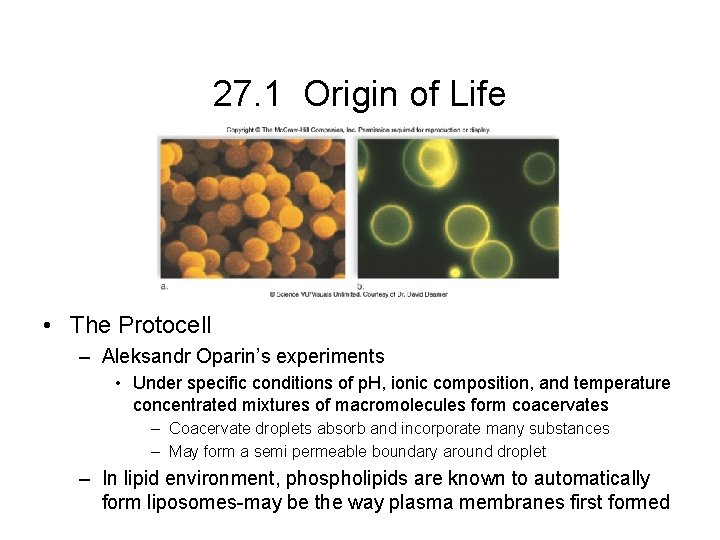 27. 1 Origin of Life • The Protocell – Aleksandr Oparin’s experiments • Under