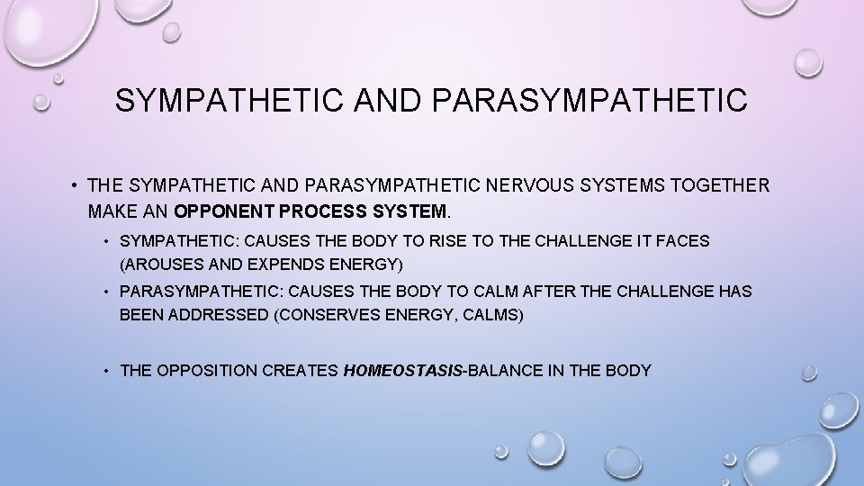 SYMPATHETIC AND PARASYMPATHETIC • THE SYMPATHETIC AND PARASYMPATHETIC NERVOUS SYSTEMS TOGETHER MAKE AN OPPONENT