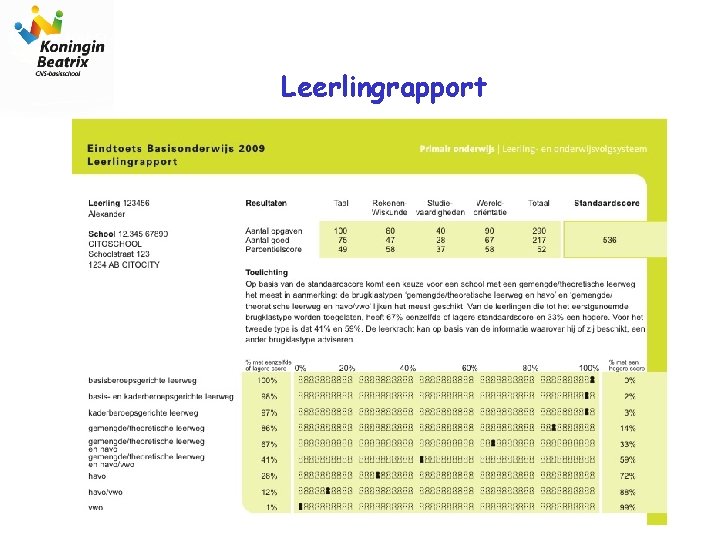 Leerlingrapport 