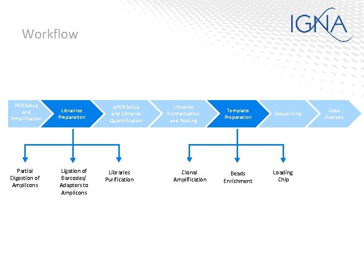 Workflow PCR Setup and Amplification Partial Digestion of Amplicons Librairies Preparation Ligation of Barcodes/