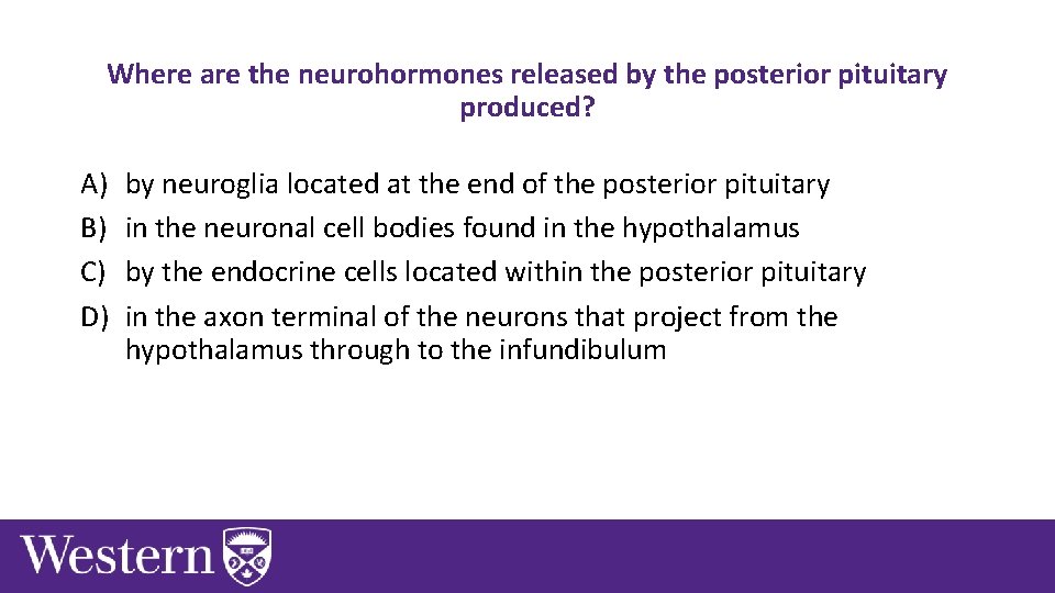 Where are the neurohormones released by the posterior pituitary produced? A) B) C) D)